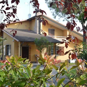 Pidkova Modena